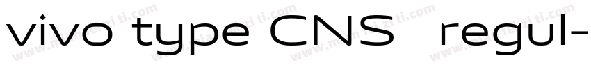 vivo type CNS简 regul字体转换